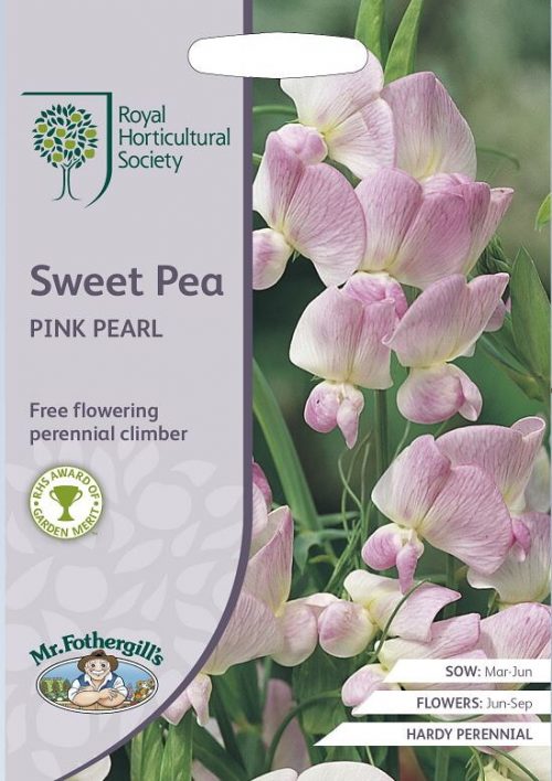 siererwt Sweet pea Pink Pearl RHS Zaden