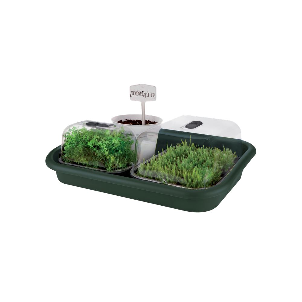 Elho Green Kweekbak - Basics Tuin Tray - Groen