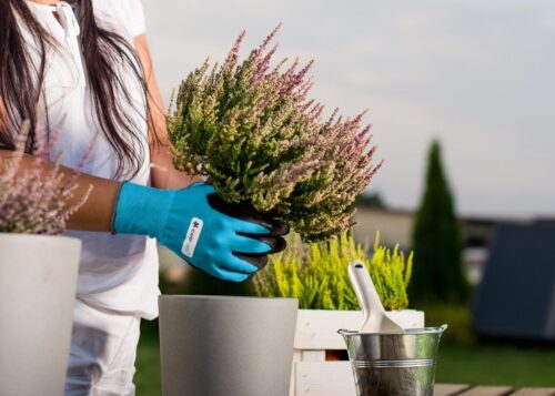 Tuinhandschoenen 8/M ERGO