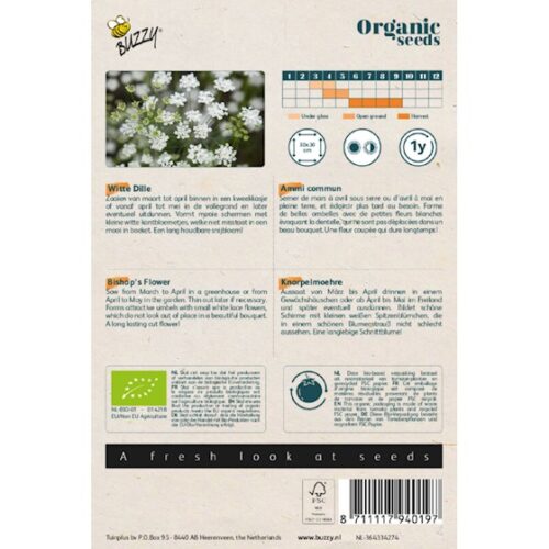 Buzzy® Organic Ammi Majus, Witte Dille