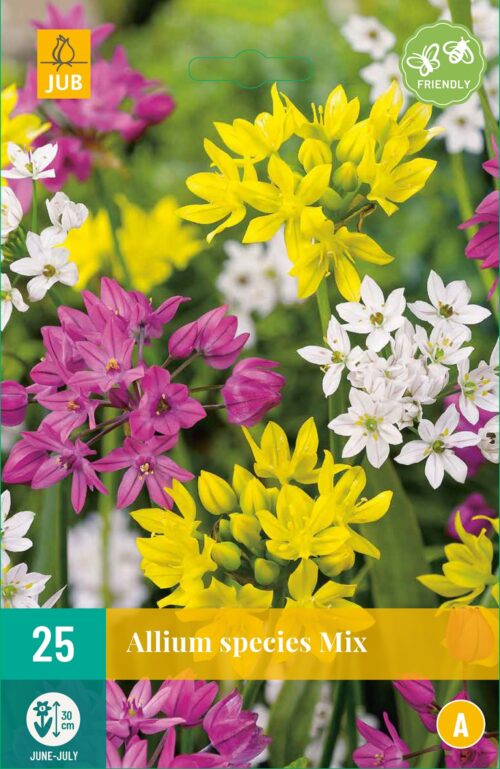 Allium Species Mix 25st