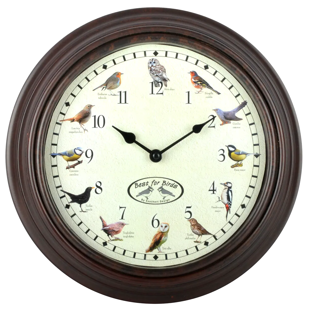 Esschert-design-vogel-klok