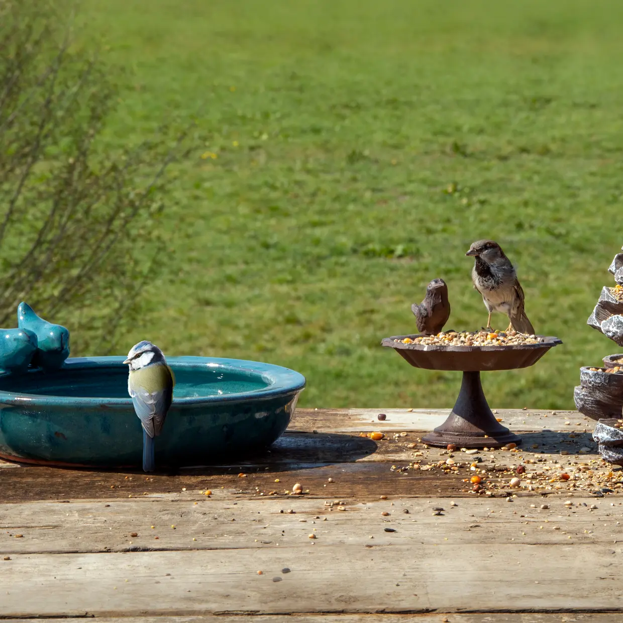 Esschert Design Vogelbad Keramiek Rond - Blauw met Vogels - Afbeelding 2