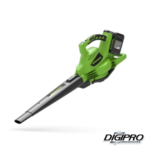 Greenworks 2×24 volt accu bladblazer Digipro