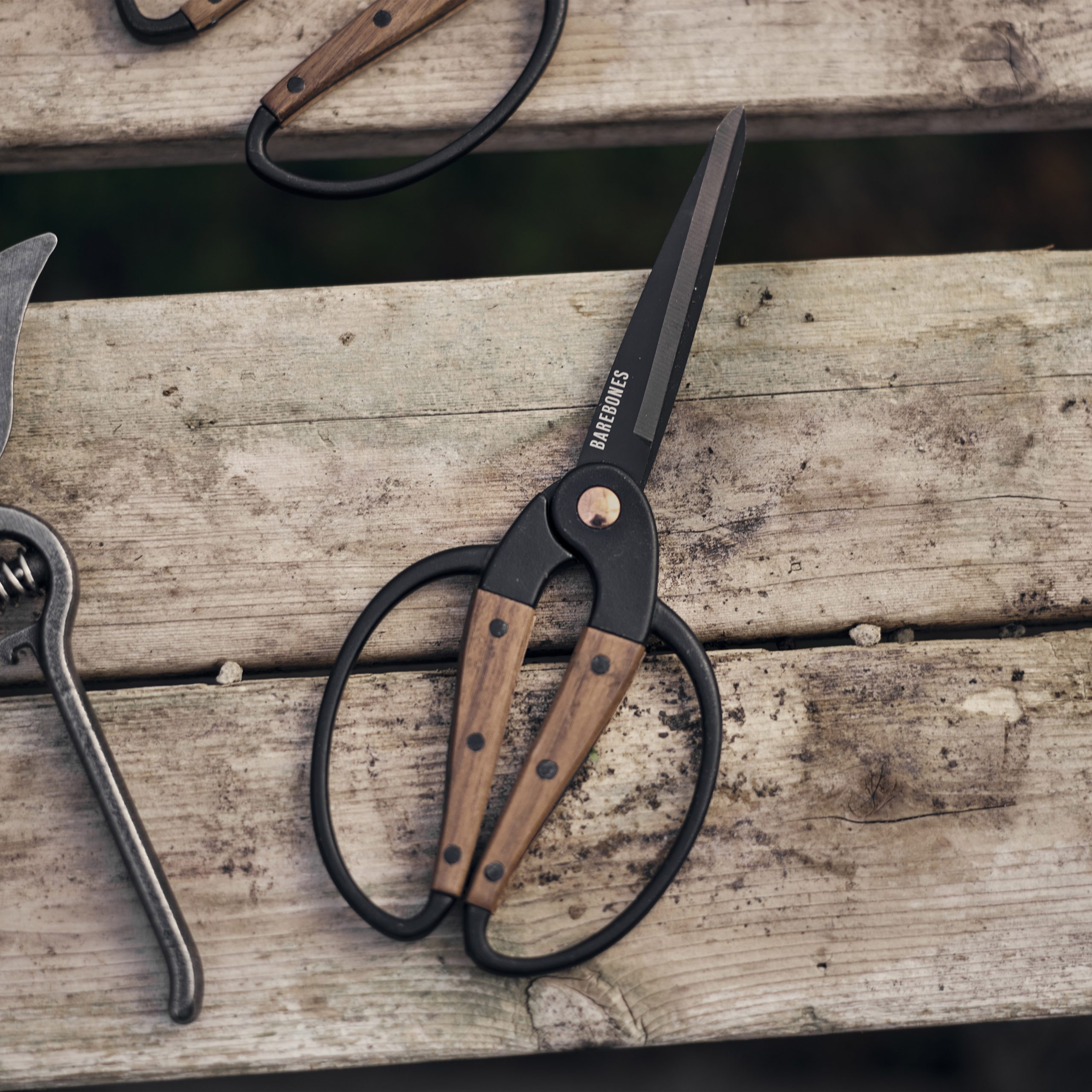 eeuwig Categorie vezel Barebones Tuinschaar (groot) - oogst en snoeischaar - tuinenshop.nl