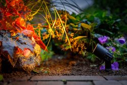 Garden Lights Neso