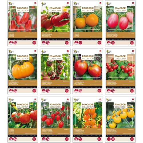 Buzzy Pomodori Tomaten Collectie