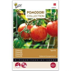 Buzzy Pomodori Tomaat - Tigerella