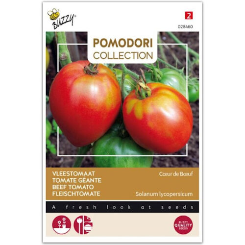 Buzzy Pomodori Vleestomaat - Coeur de Boeuf