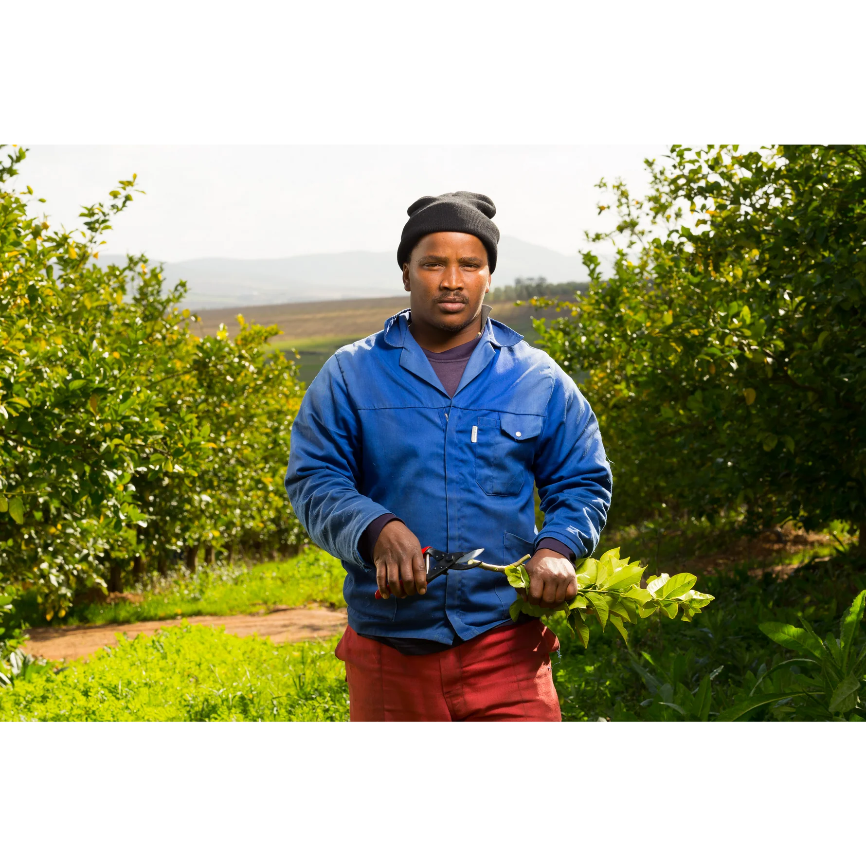 Square_packshots_PNG-FELCO-5-VITICULTURE-2016_1627-jpg