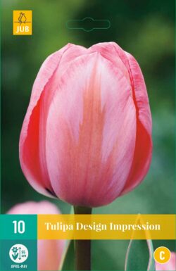 Tulpen Design Impression