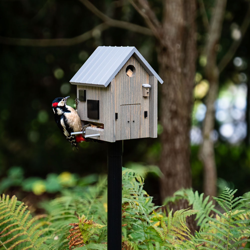 Multiholk Modern Nordic Vogelhuisje & Voederhuis - 2-in-1 - Grijs - Afbeelding 2