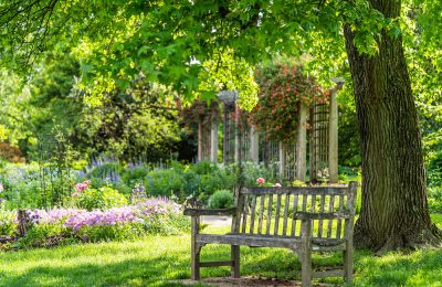 wooden bench at flower garden park