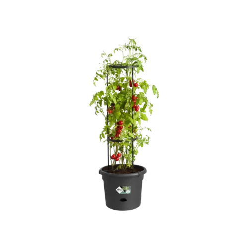 Green Basics Tomaten Pot 33cm Living Black