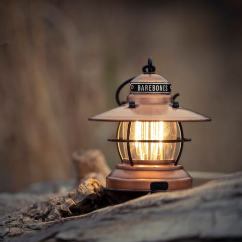 Barebones Mini Edison lamp