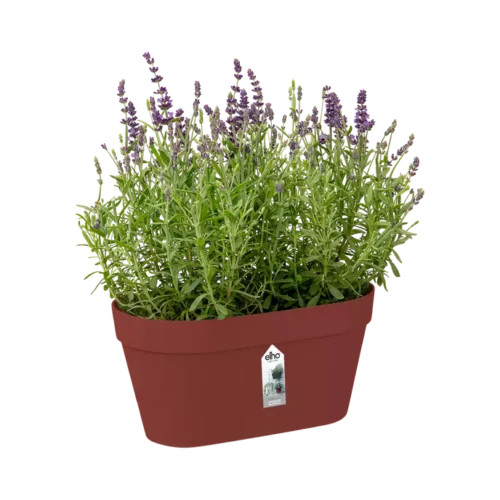 Loft Urban Green Wall Duo 28cm Brique