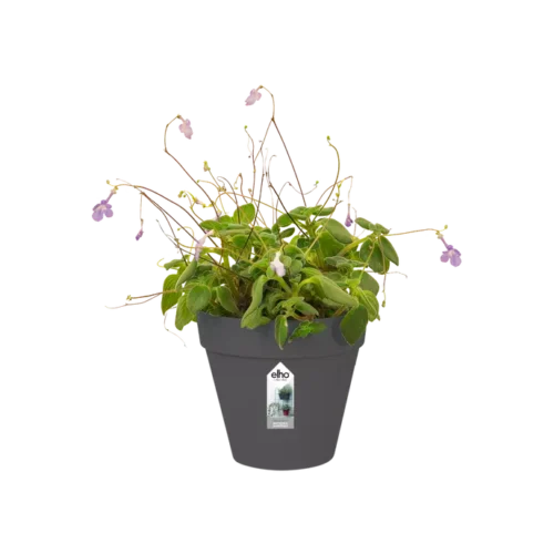 Loft Urban Green Wall Single 15cm Antraciet