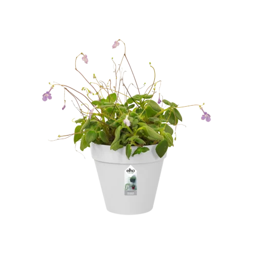 Loft Urban Green Wall Single 15cm Wit