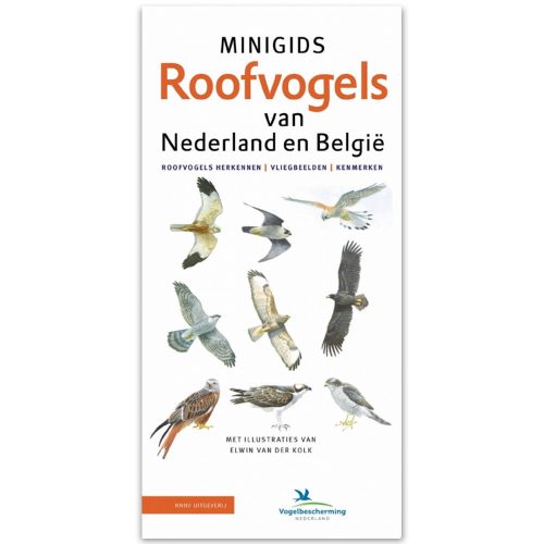 minigids roofvogels van nederland en belgie