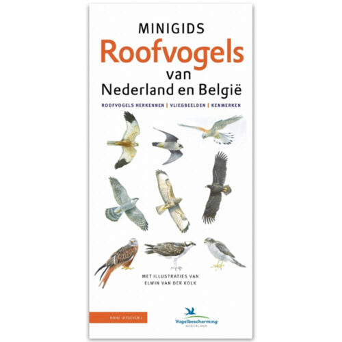 minigids roofvogels van nederland en belgie