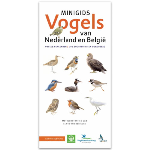 minigids vogels van nederland en belgie