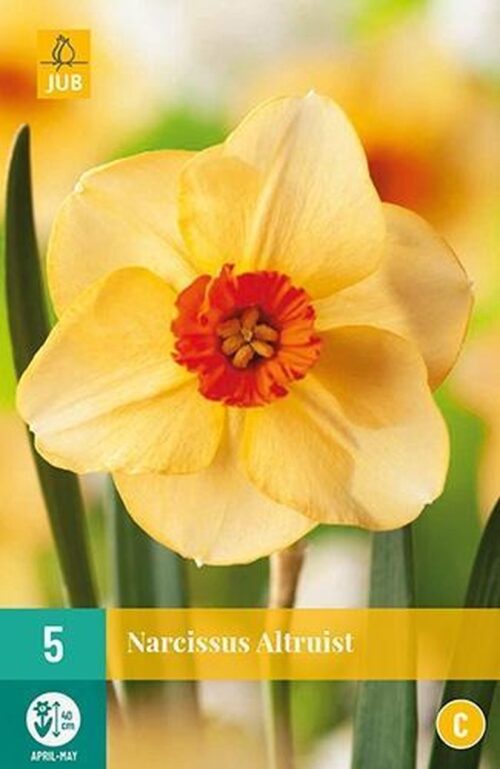 Narcissus Altruist 5st.