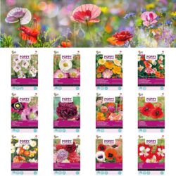 Poppy collectie
