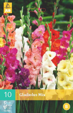 Gladiool Mix 10st.
