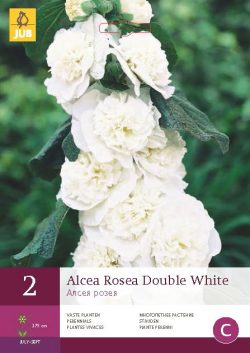 Alcea Rosea Double White 2st.