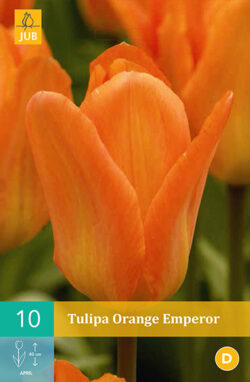 Tulpen Orange Emperor 10st.