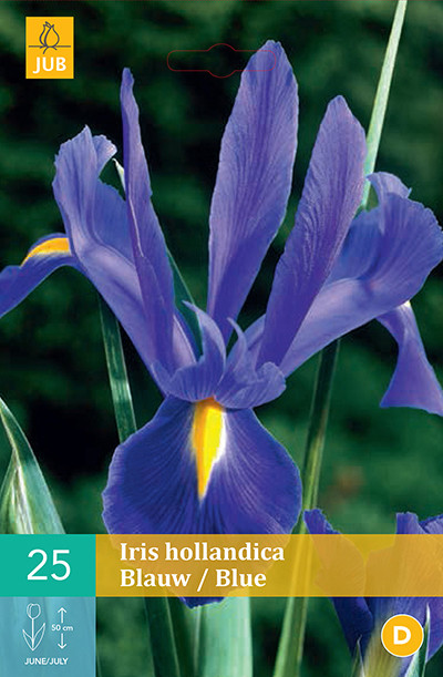 Iris Blauw 25st.