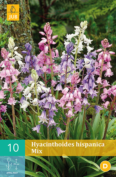 Hyacinthoïdes Hispanica Mix 10st.