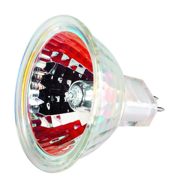 Halogeen lamp MR11 10W 12V