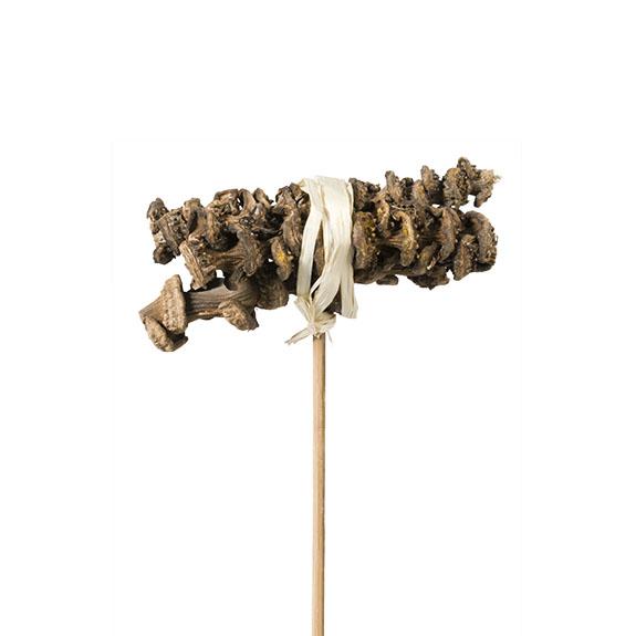 Bijstekers Banana Stems