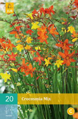 Crocosmia Mix 20st.