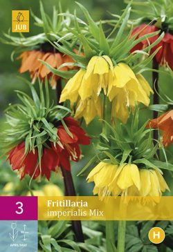 Fritillaria Imperialis Mix 3st.