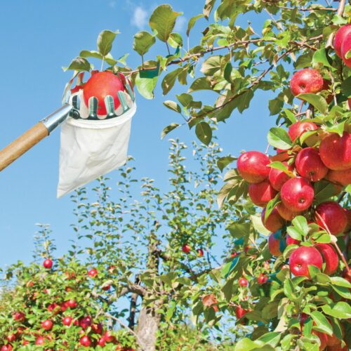 Fruitplukker