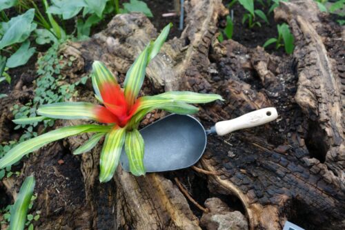 Tuinscoop handmodel gesmeed staal