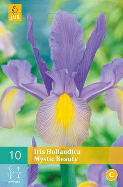 Iris Hollandica Mystic Beauty 10st.