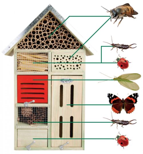 Insectenhotel L