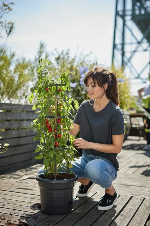 Green Basics Tomaten Pot 33cm Living Black