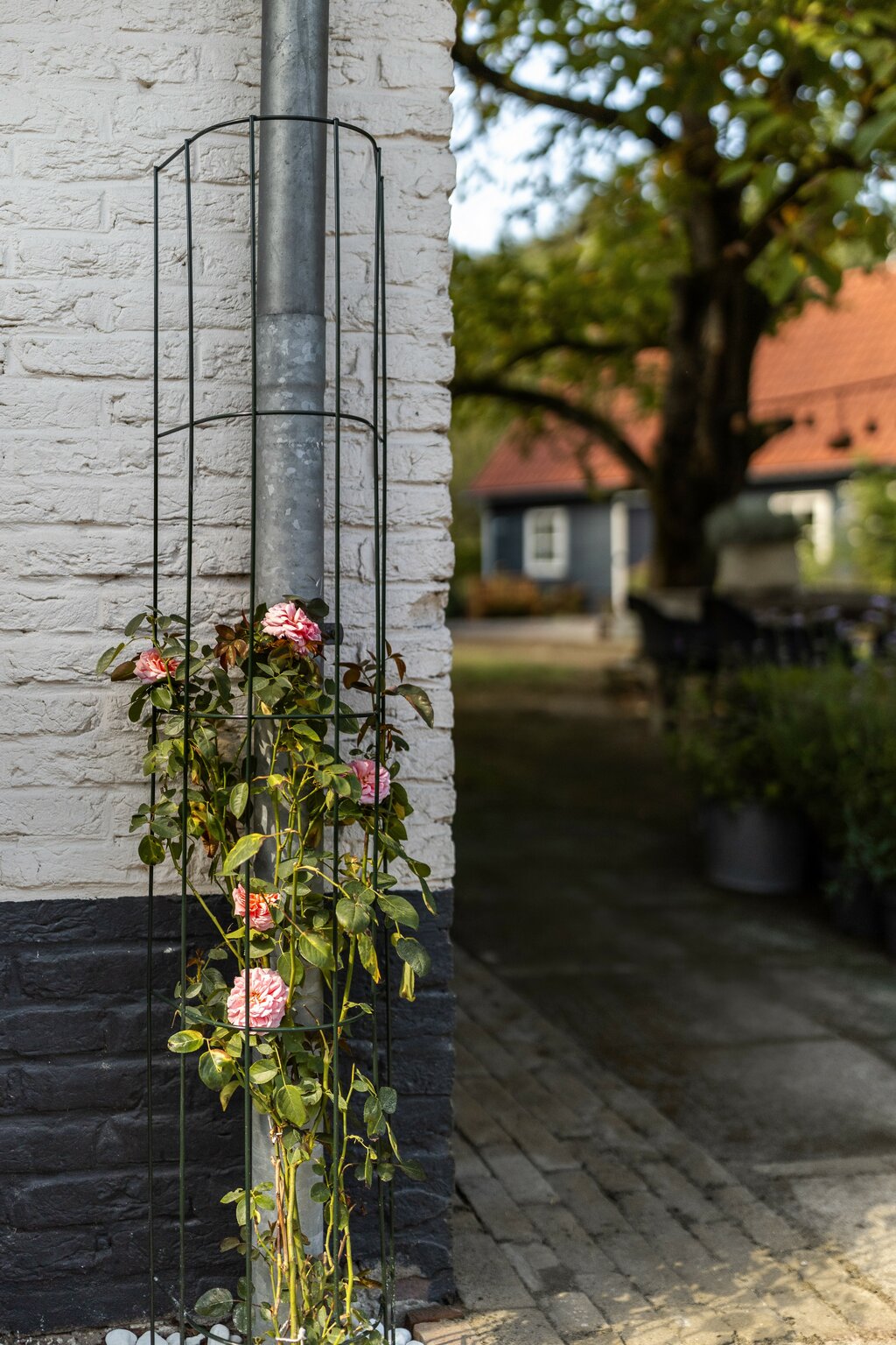 trellis-regenpijp-groen-26-x-150-cm-4159x6239-697345fbdda2b_l