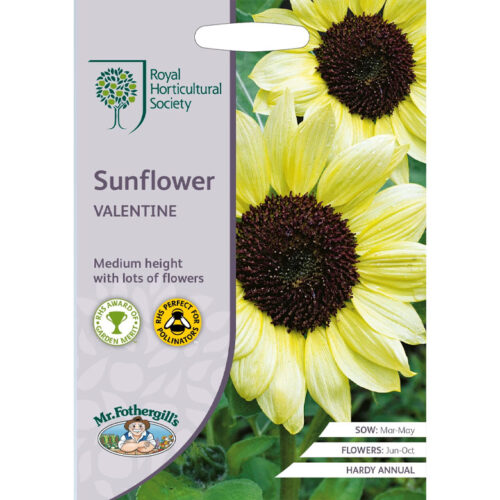 Zonnebloem Sunflower Valentine RHS Zaden